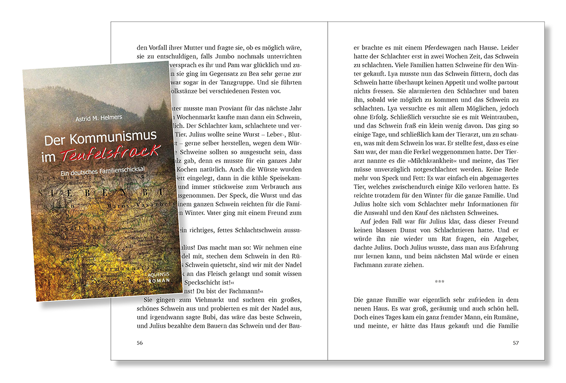 Seiten 56 und 57 des Buches mit einer kleinen Abbildung des Buchcovers auf der linken Seite.